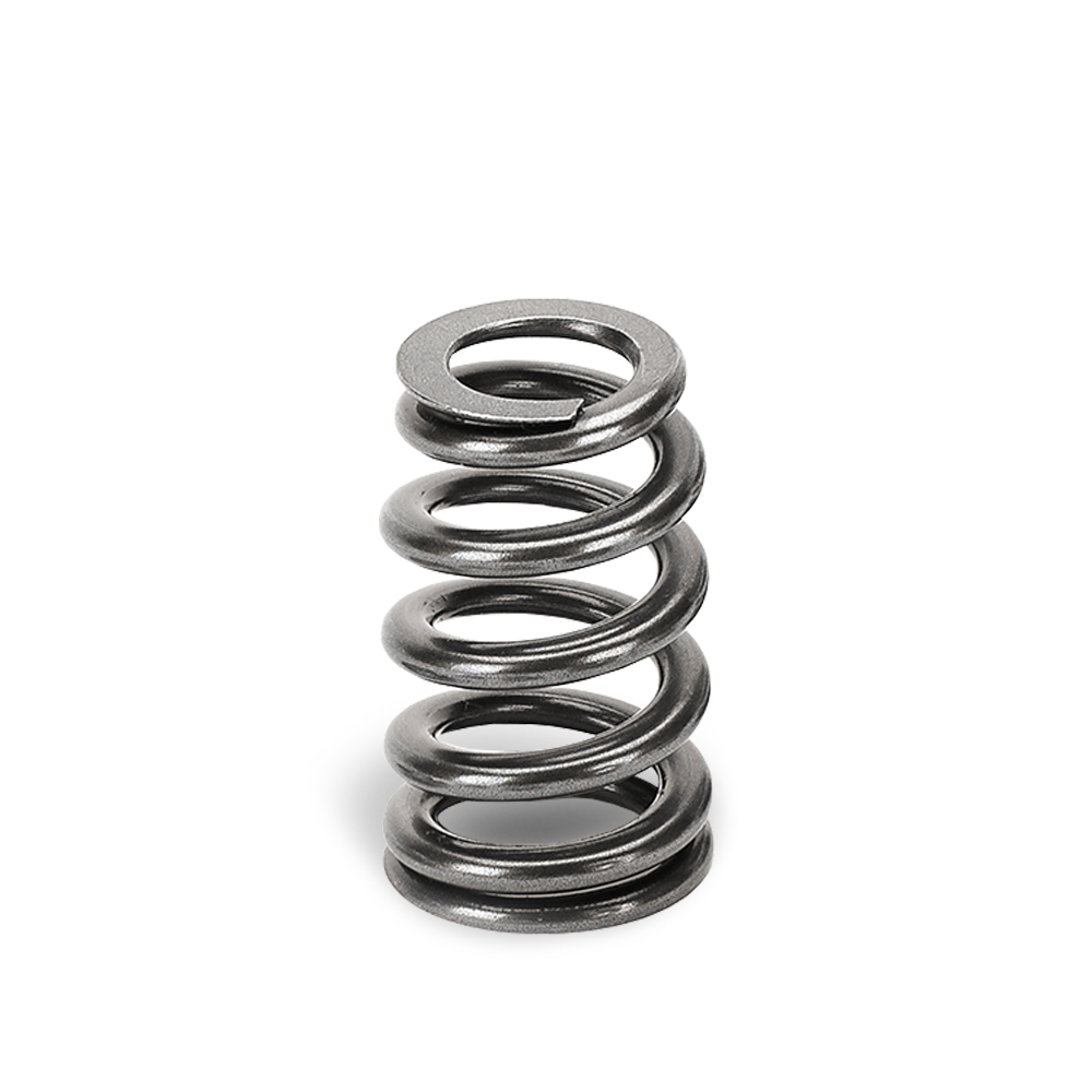 Conical Valves Spring